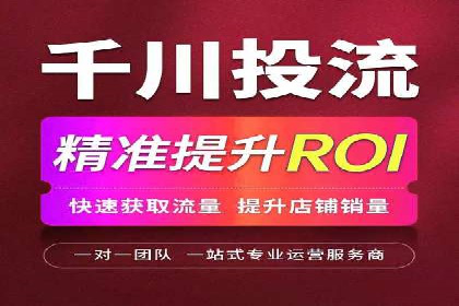 SEM竞价实战：成功案例解析